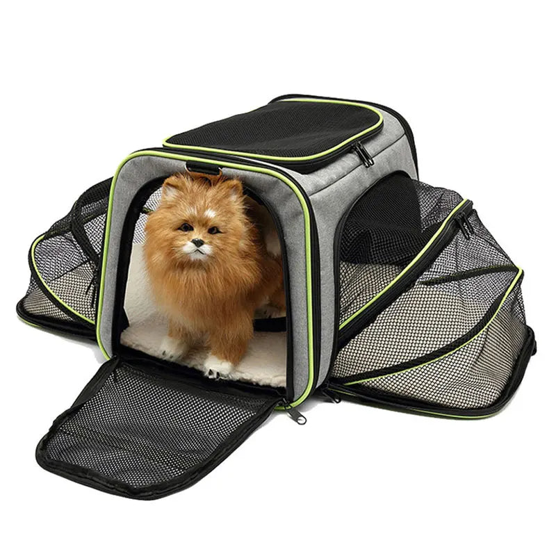 Mochila transporte para mascotas, bolso expansible con buena ventilación