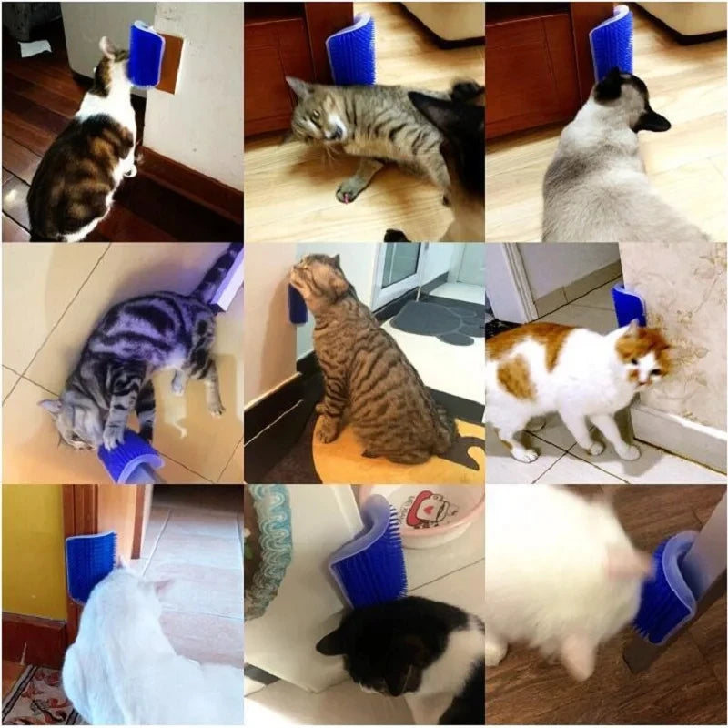 Rascador para gatos Masajeador para gatos Rascar Mascotas Cepillo Quitar el pelo Peine Mesa de aseo Perros Cuidado de gatitos Accesorios Royal Canin