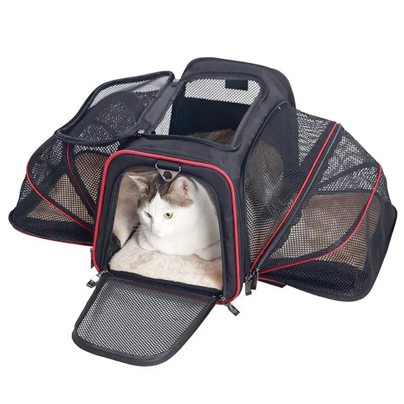 Mochila transporte para mascotas, bolso expansible con buena ventilación