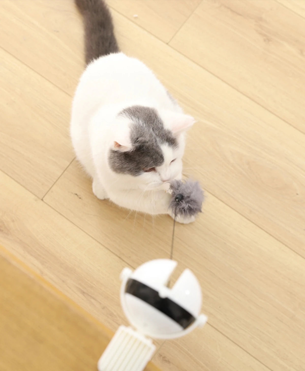 Juego giratorio interactivo para gatos ideal para potenciar el instinto de caza de tu mascotas